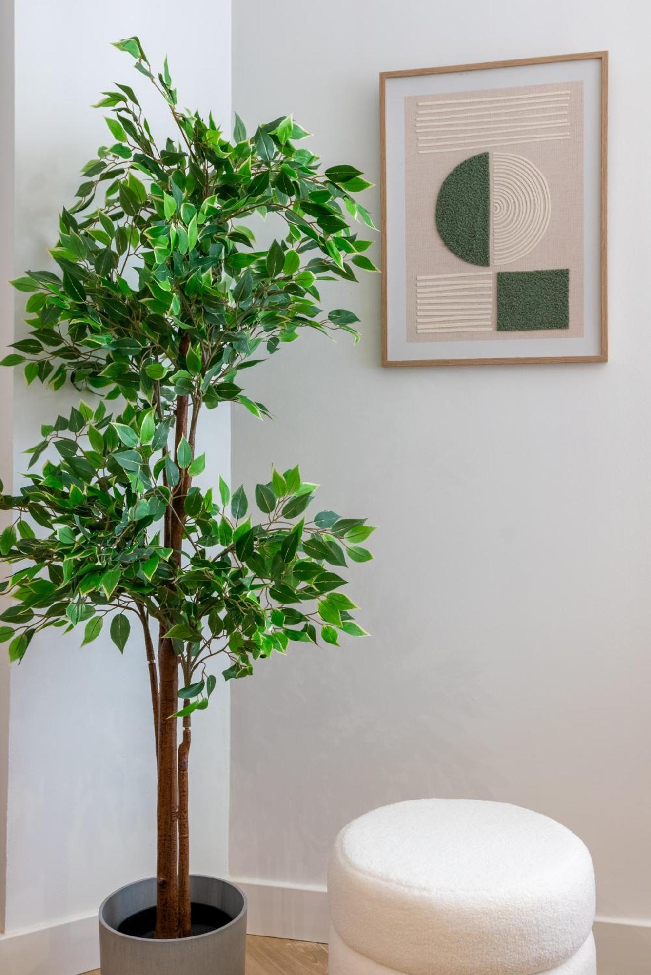 Diseno Y Comodidad En Bami 塞维利亚 外观 照片
